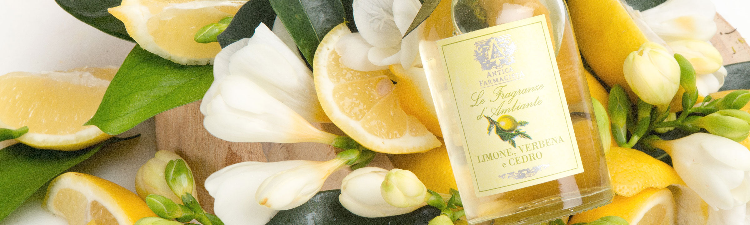Lemon Verbena Fragrance Oil, 10 ml Premium, Long Lasting Diffuser Oils –  Eclectic Lady