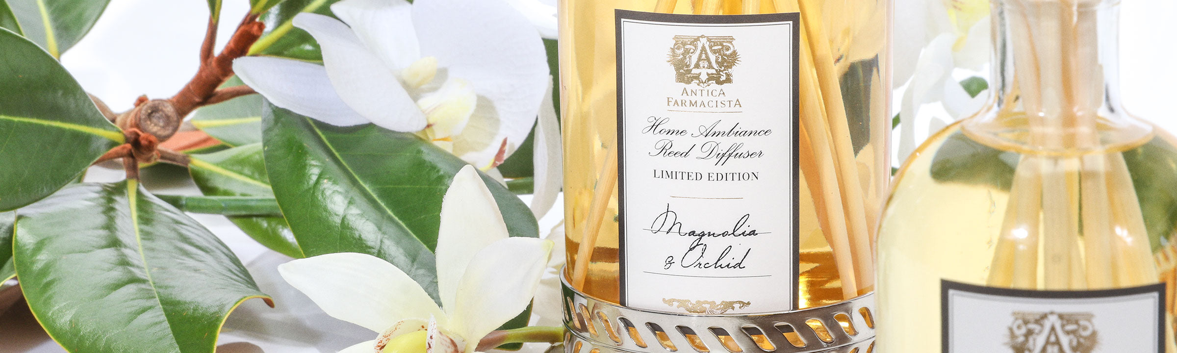 Magnolia & Orchid