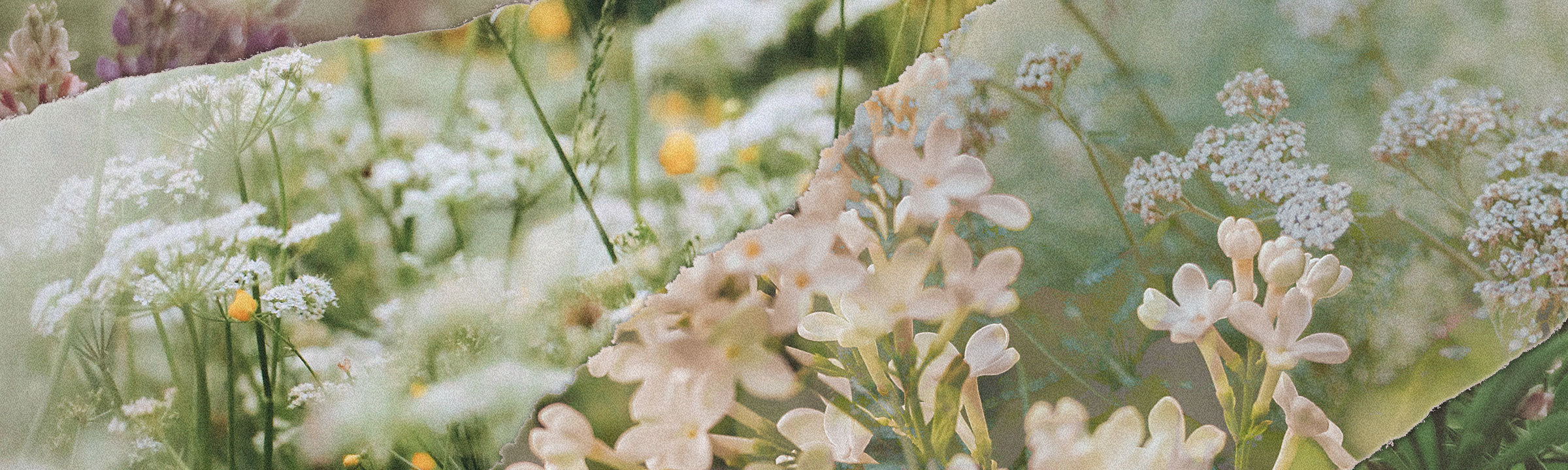Spring Florals