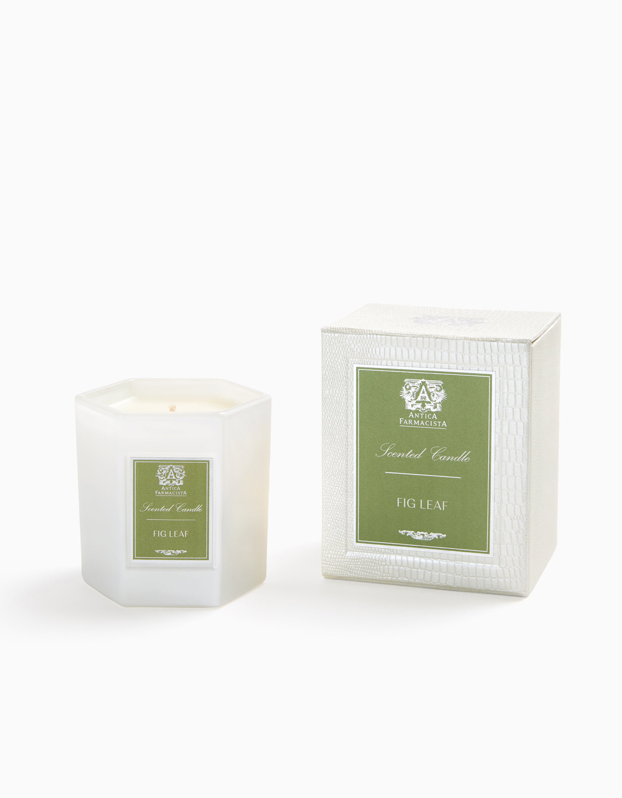 Fig Leaf Candle