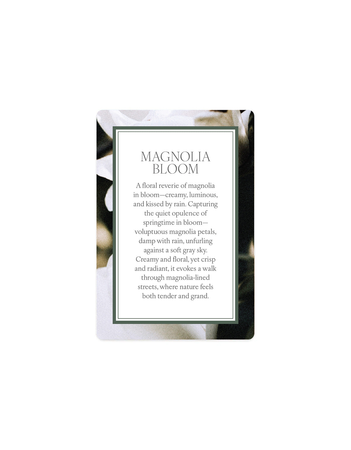 Scented Card - Magnolia Bloom