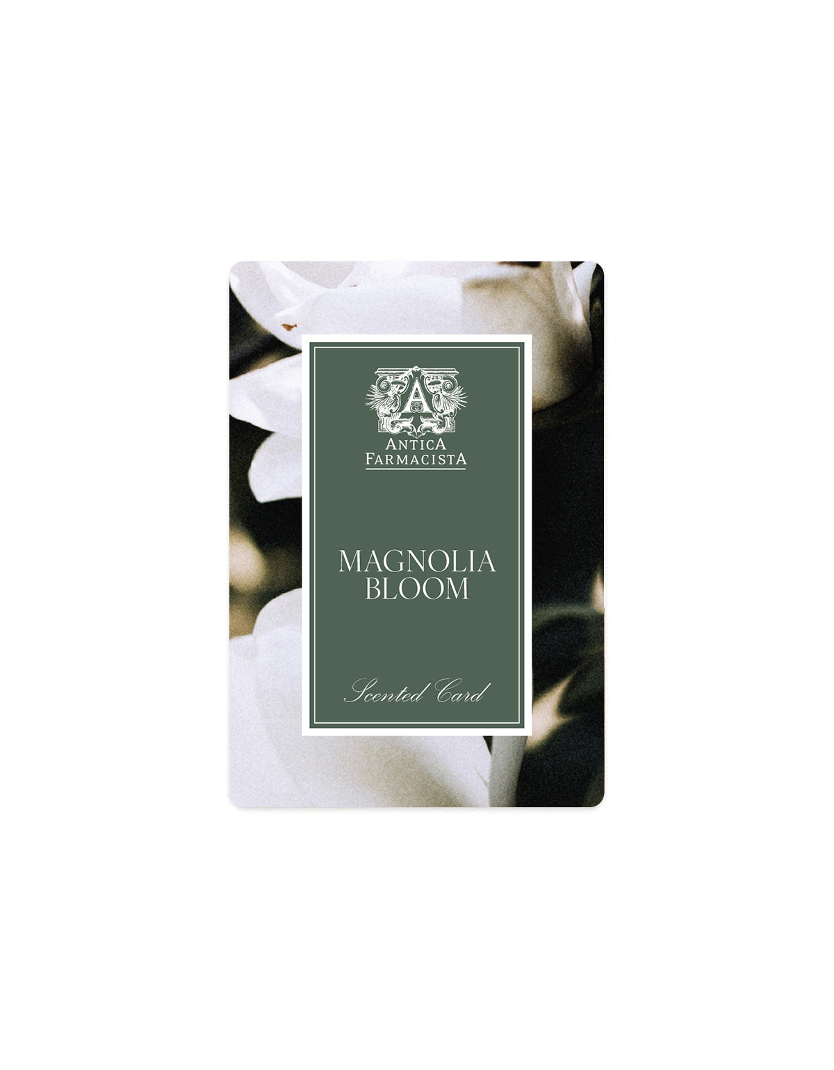 Scented Card - Magnolia Bloom