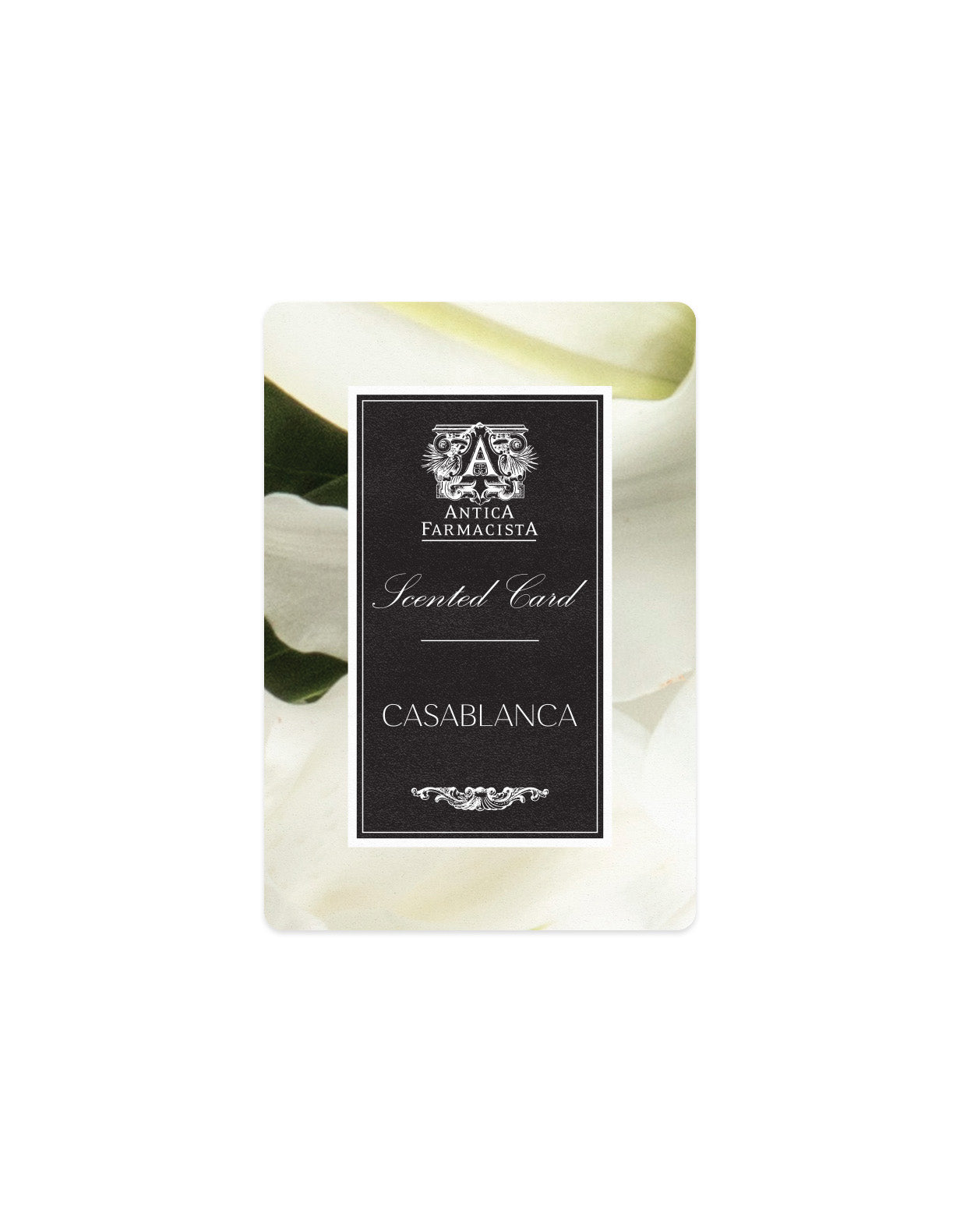 Scented Card - Casablanca