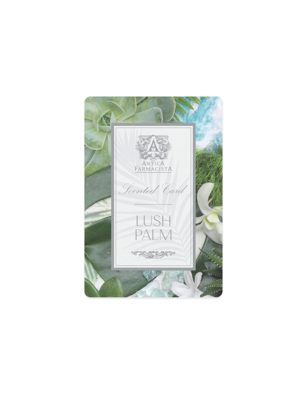 Scented Card - Lush Palm