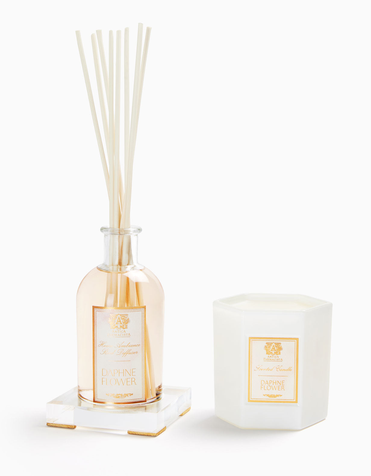 Acrylic Home Ambiance Gift Set: Daphne Flower