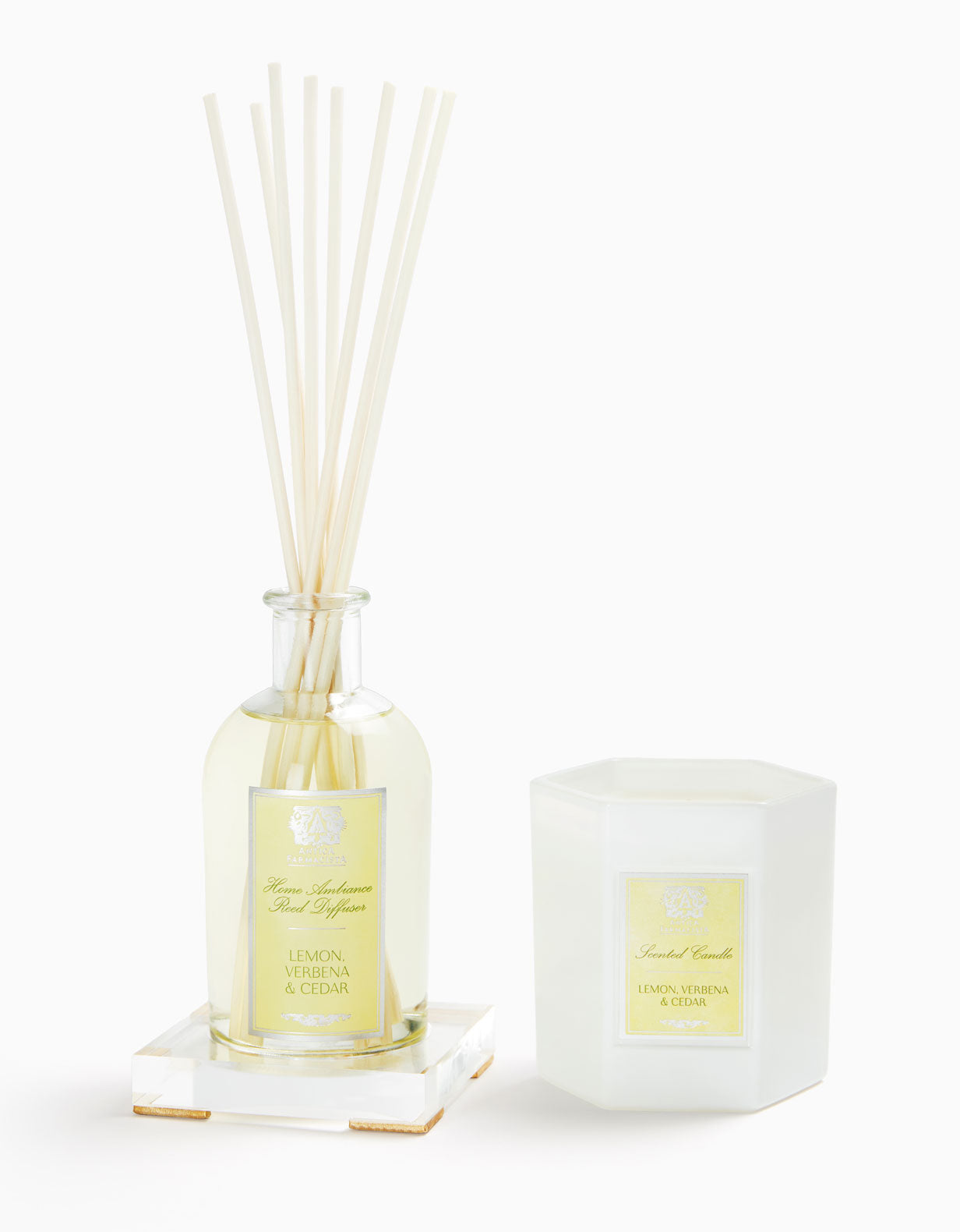 Acrylic Home Ambiance Gift Set: Lemon, Verbena & Cedar