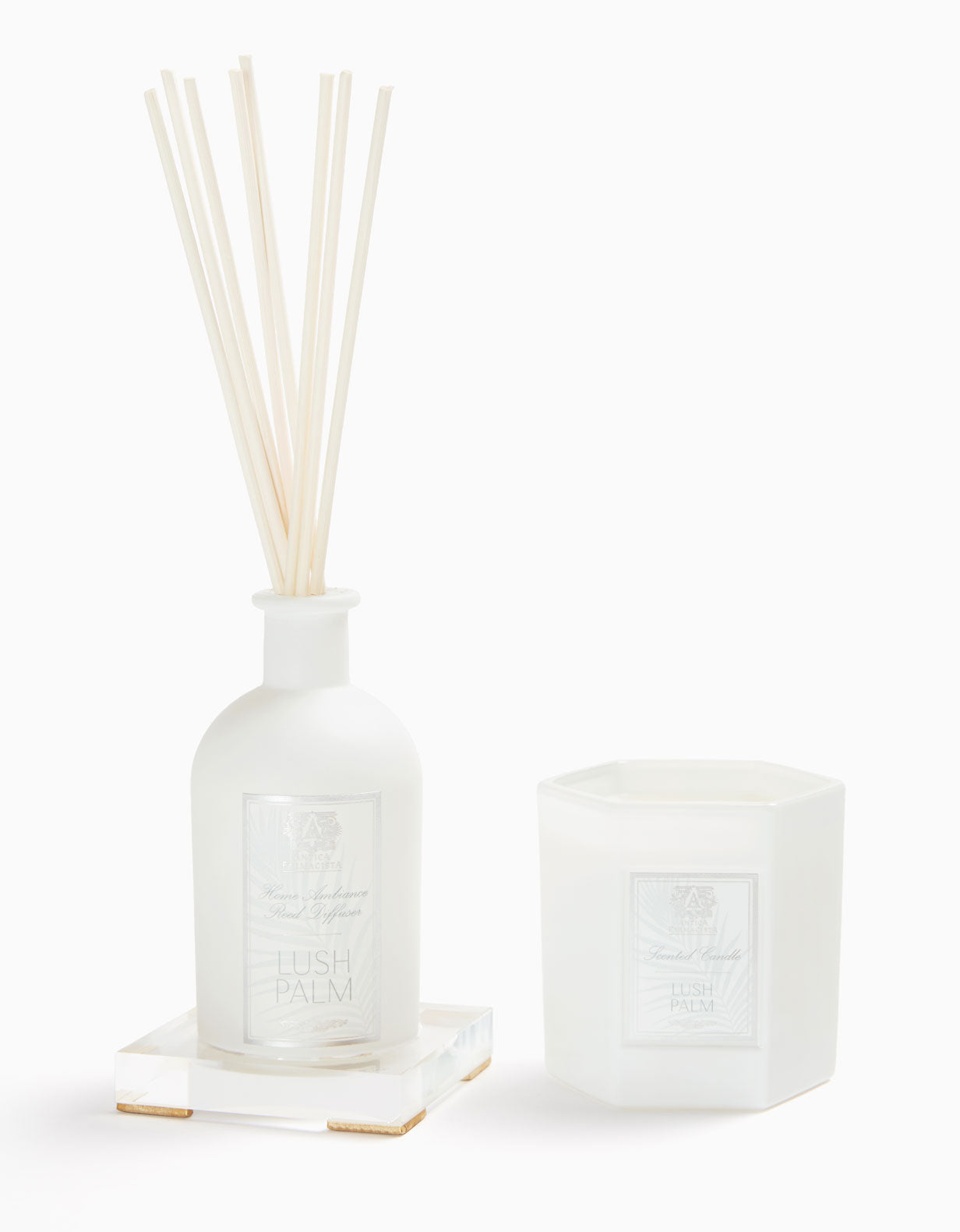 Acrylic Home Ambiance Gift Set: Lush Palm