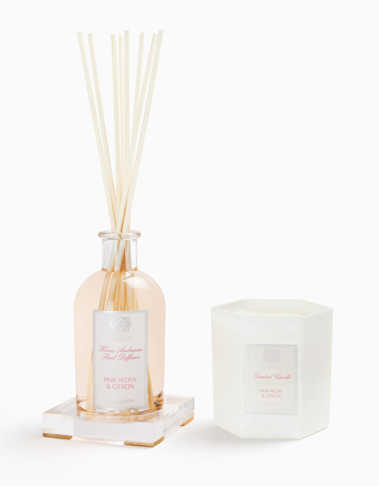 Acrylic Home Ambiance Gift Set: Pink Peony & Citron