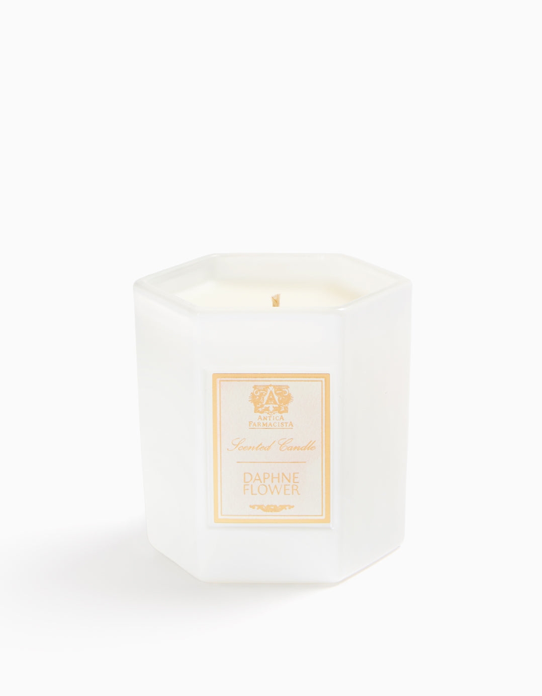 Daphne Flower Candle