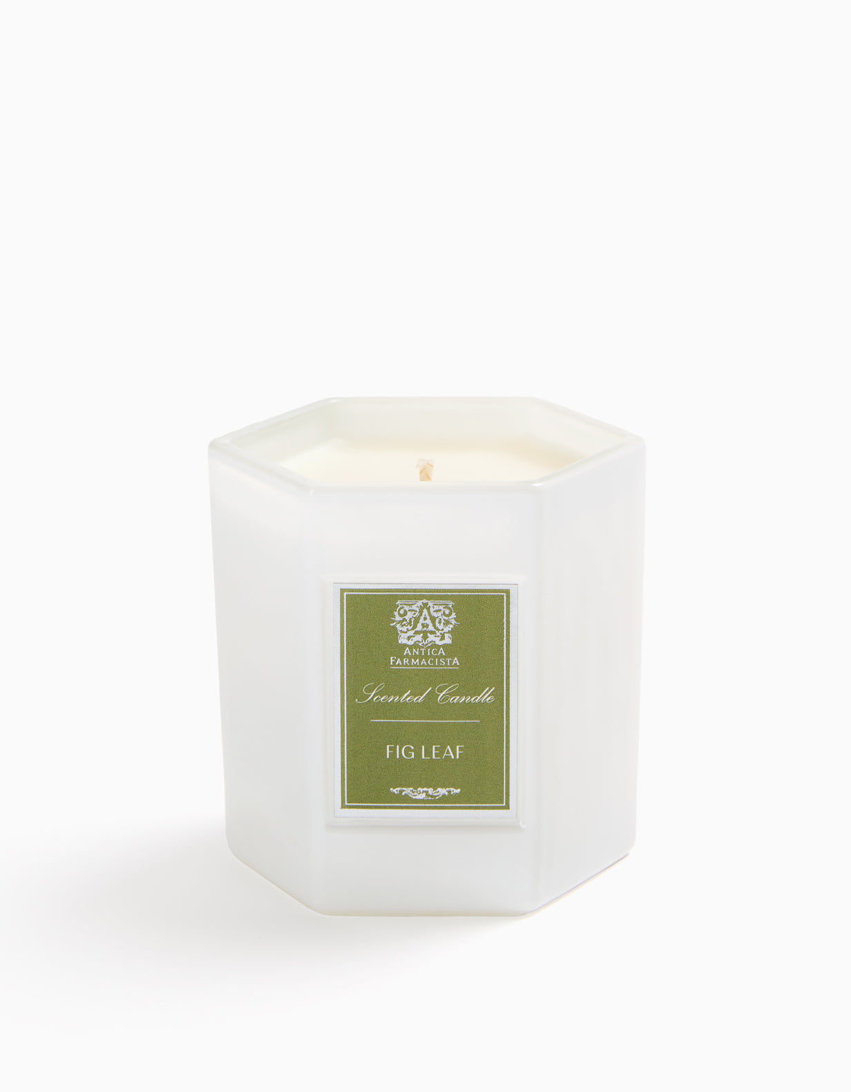 Fig Leaf Candle