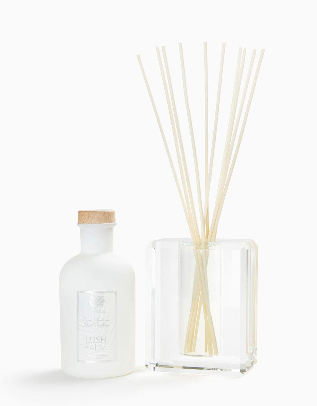 Lush Palm Crystal Diffuser