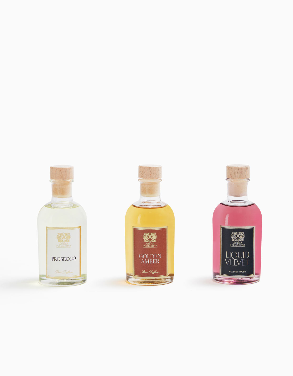 2026 Fall Diffuser Trio