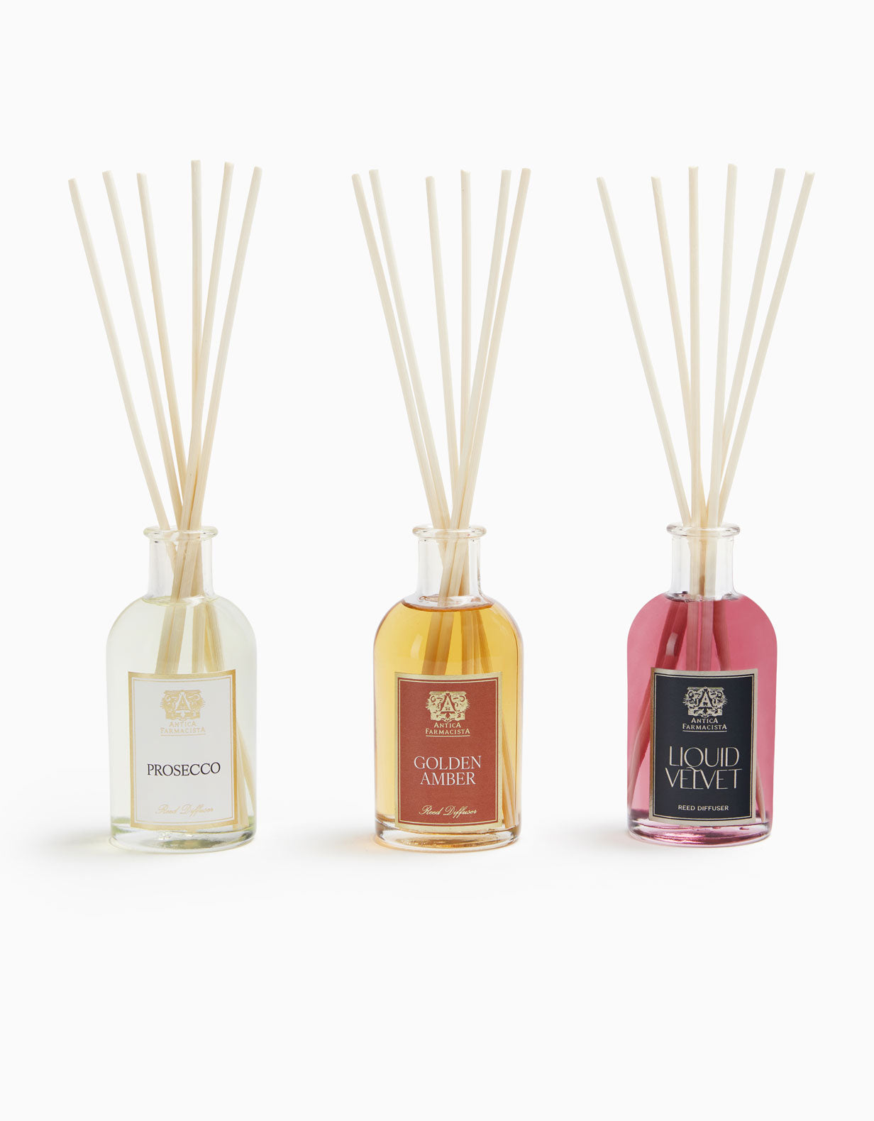 2026 Fall Diffuser Trio