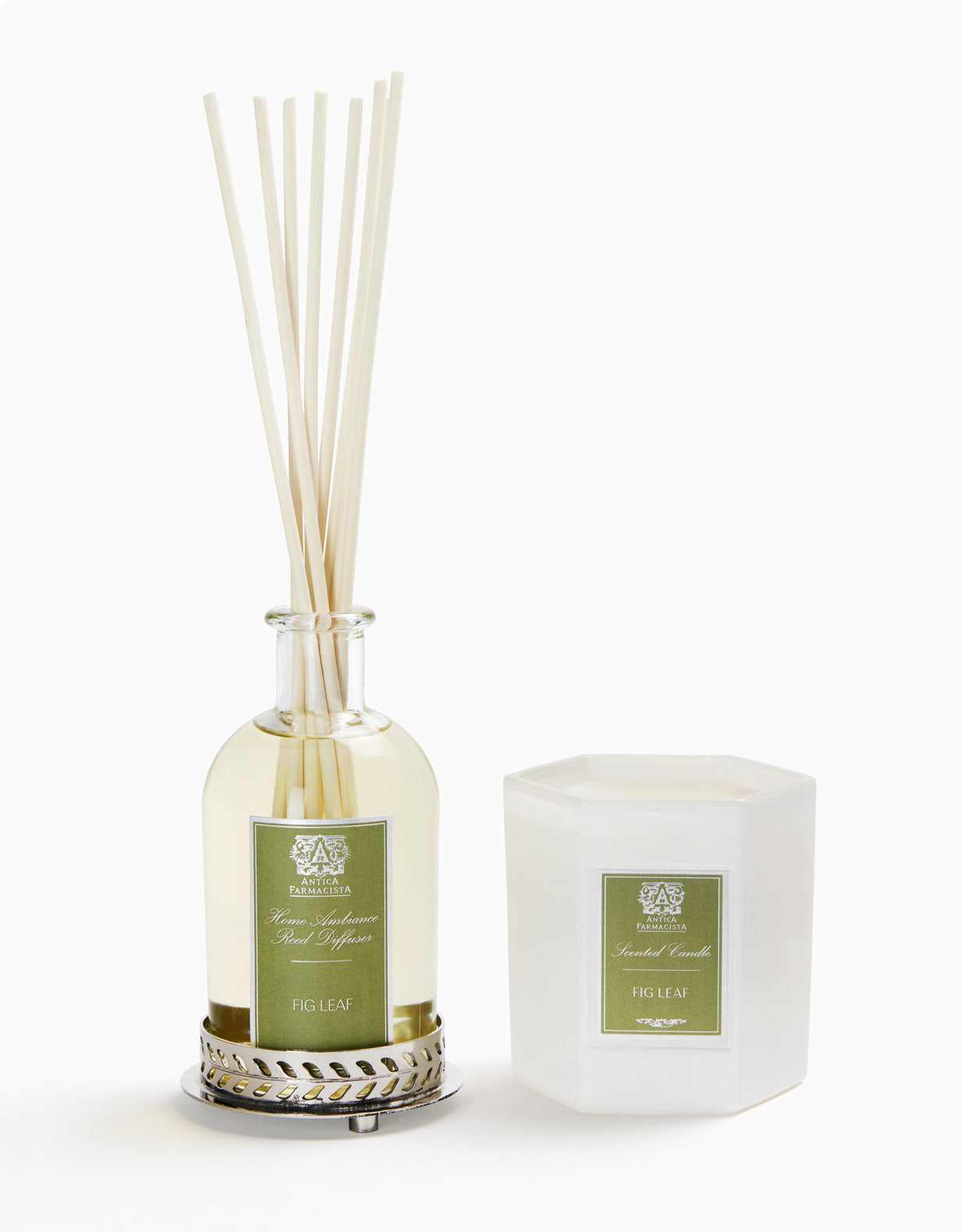 Nickel Home Ambiance Gift Set: Fig Leaf