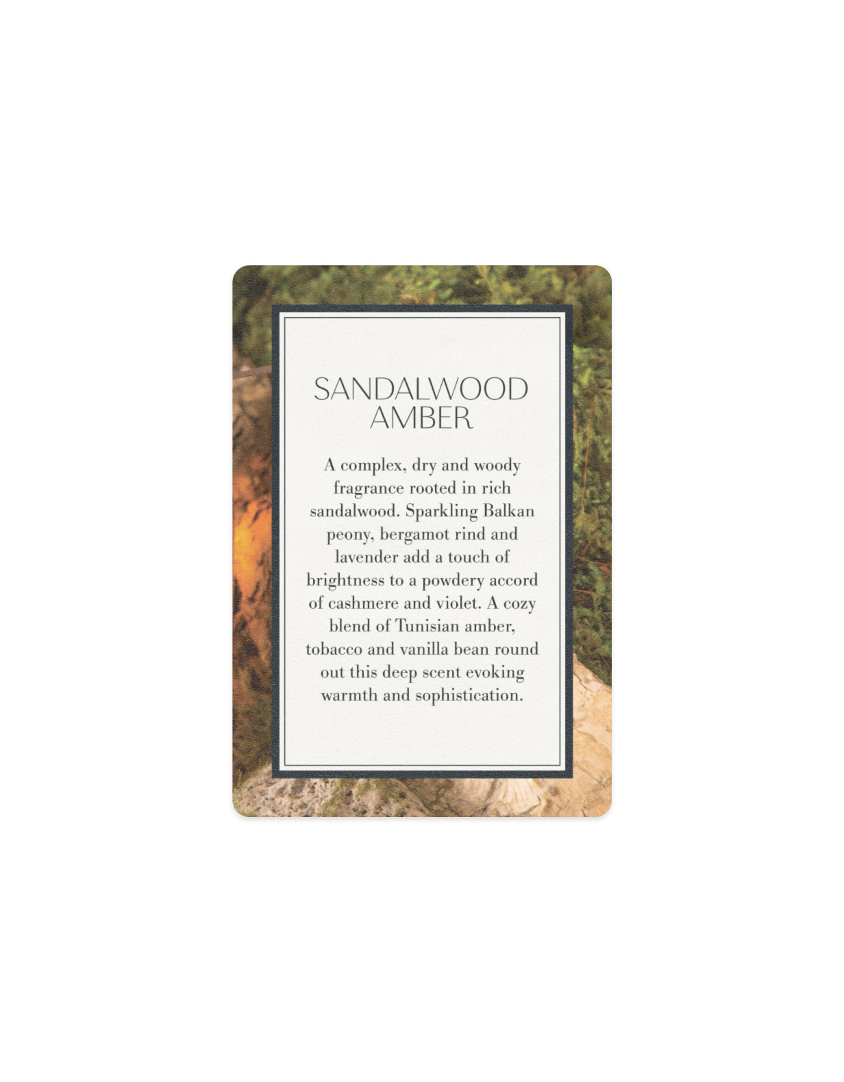 GWP - Scented Card - Sandalwood Amber