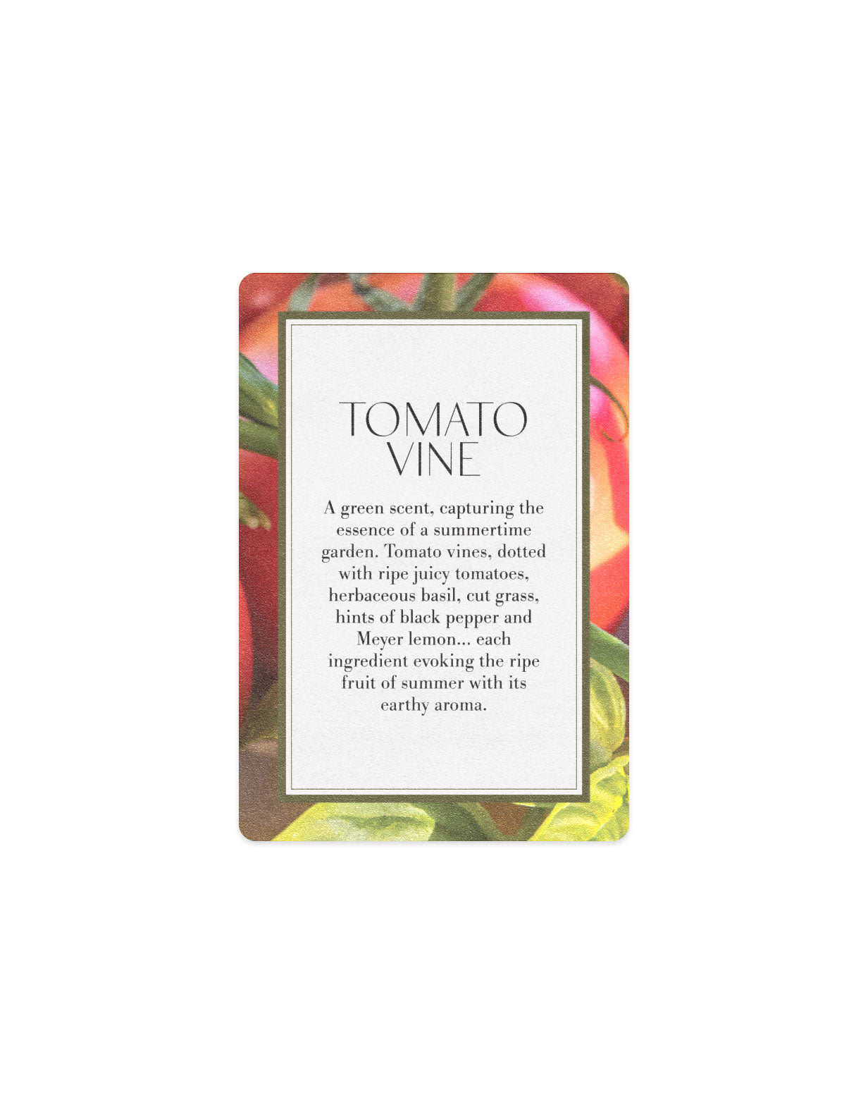 Scented Card - Tomato Vine