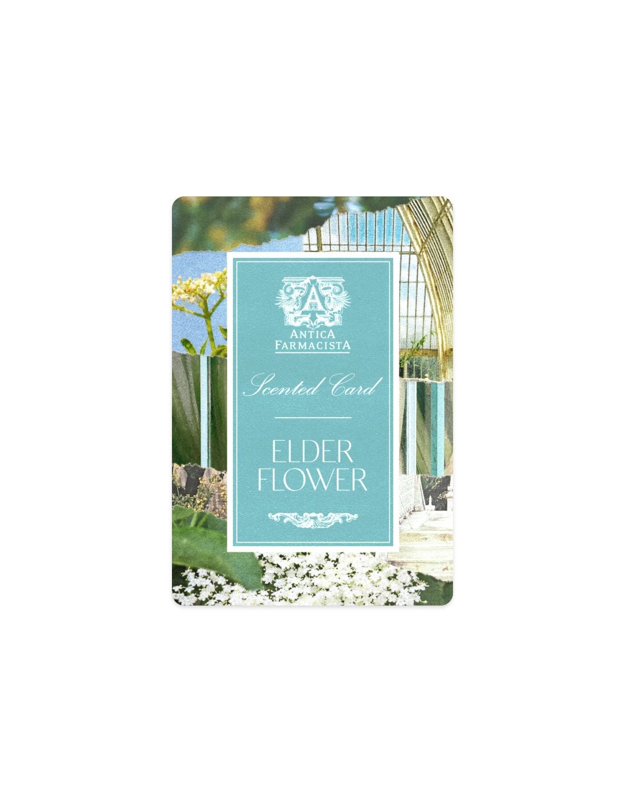 ‍Scented Card - Elderflower (100% off)