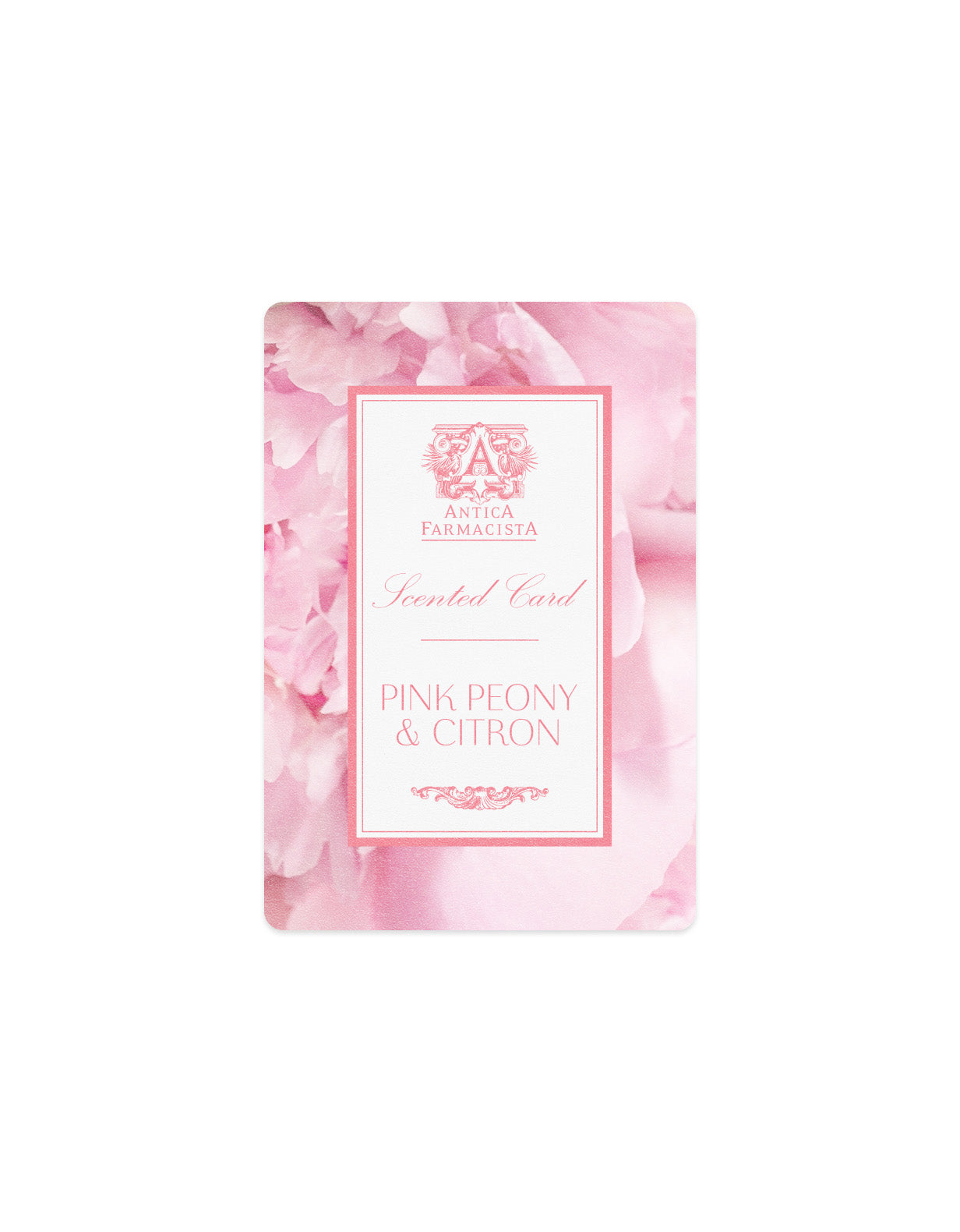 ‍Scented Card - Pink Peony & Citron (100% off)