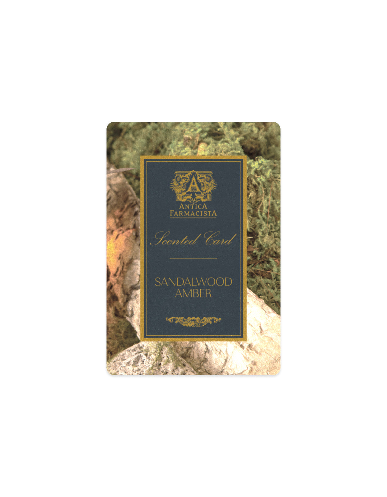 GWP - Scented Card - Sandalwood Amber