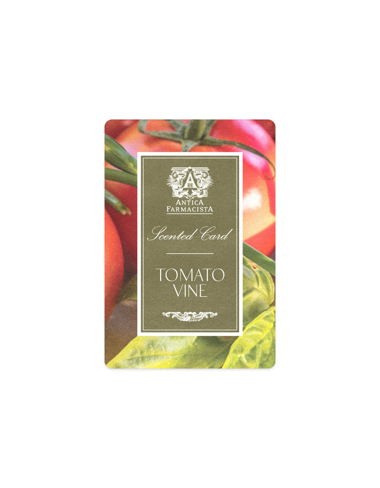 Scented Card - Tomato Vine