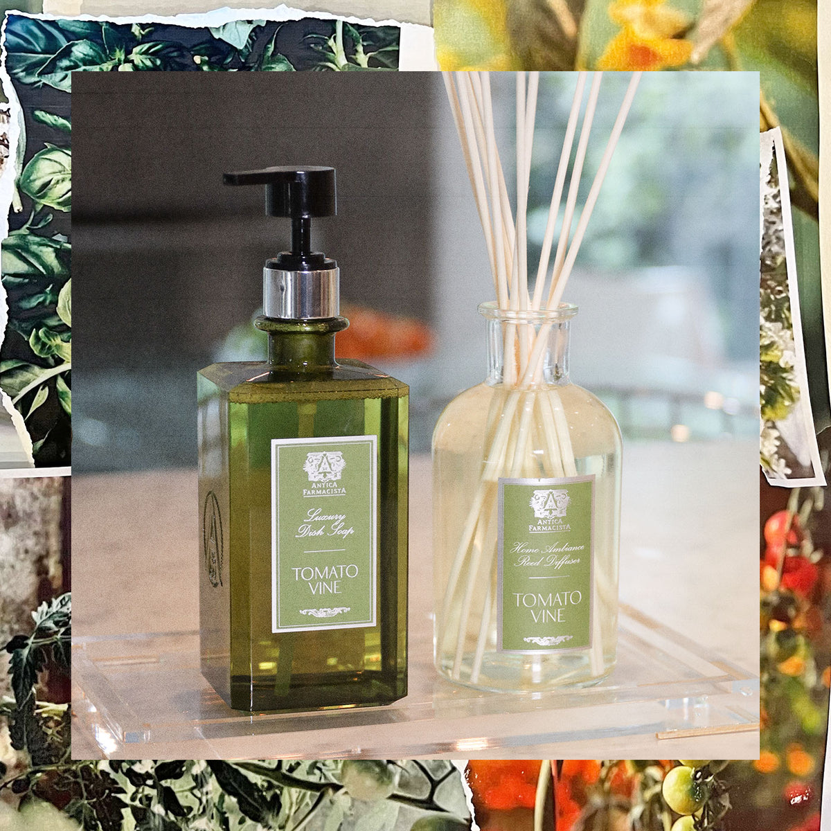 Luxury Home Fragrance & Reed Diffusers | Antica Farmacista