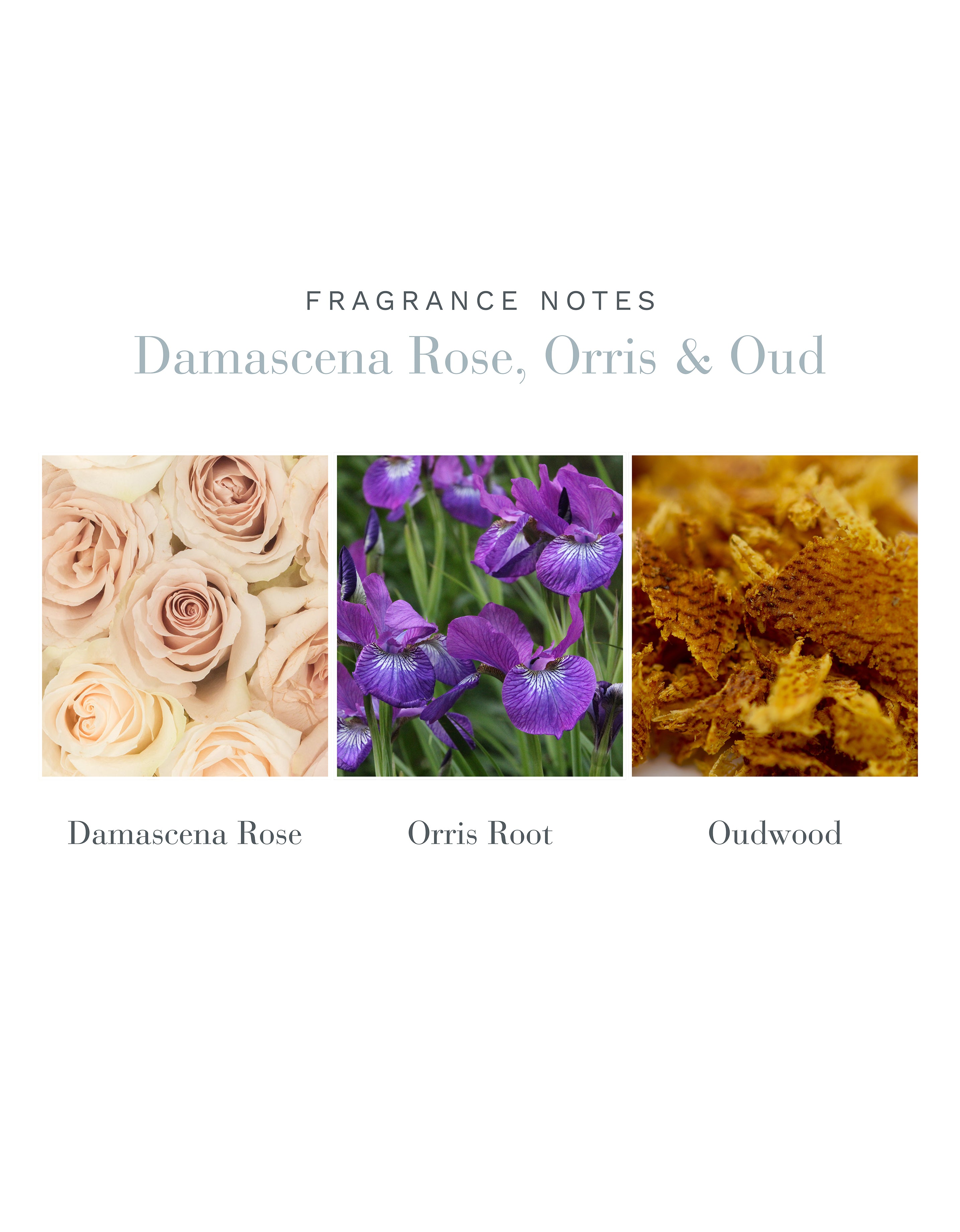 Damascena Rose, Orris & Oud Candle