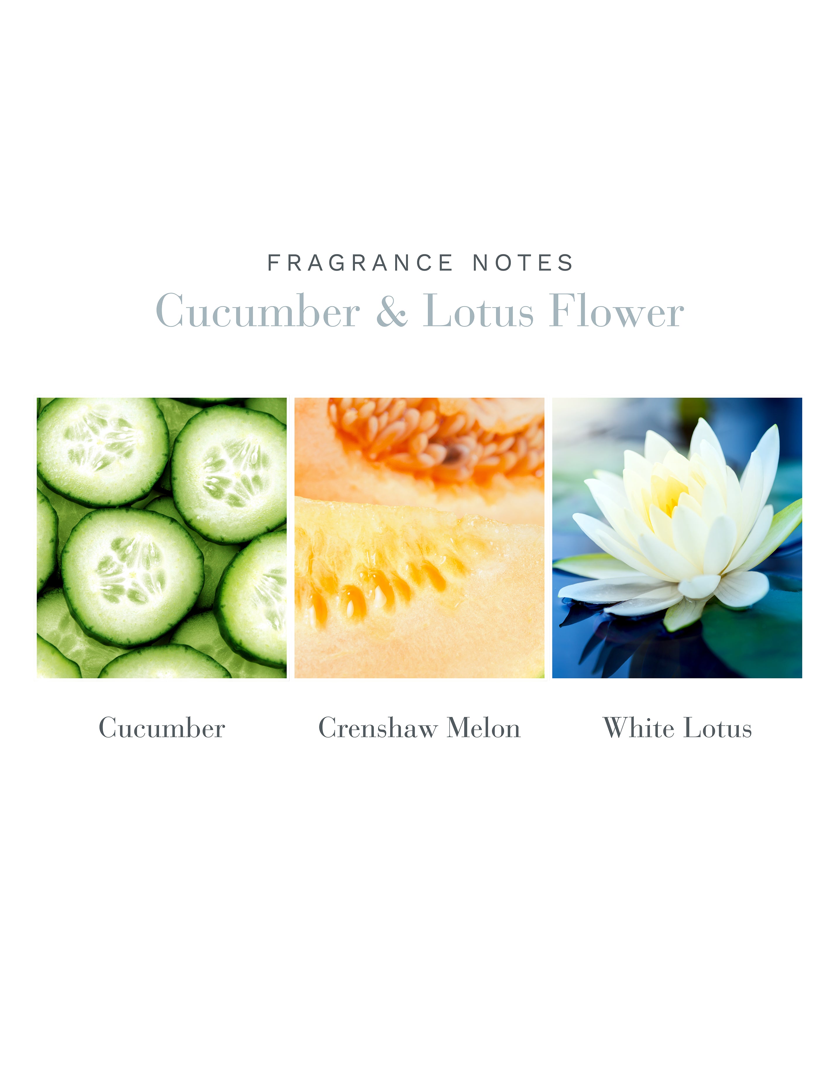 Cucumber & Lotus Flower Hand & Body Wash