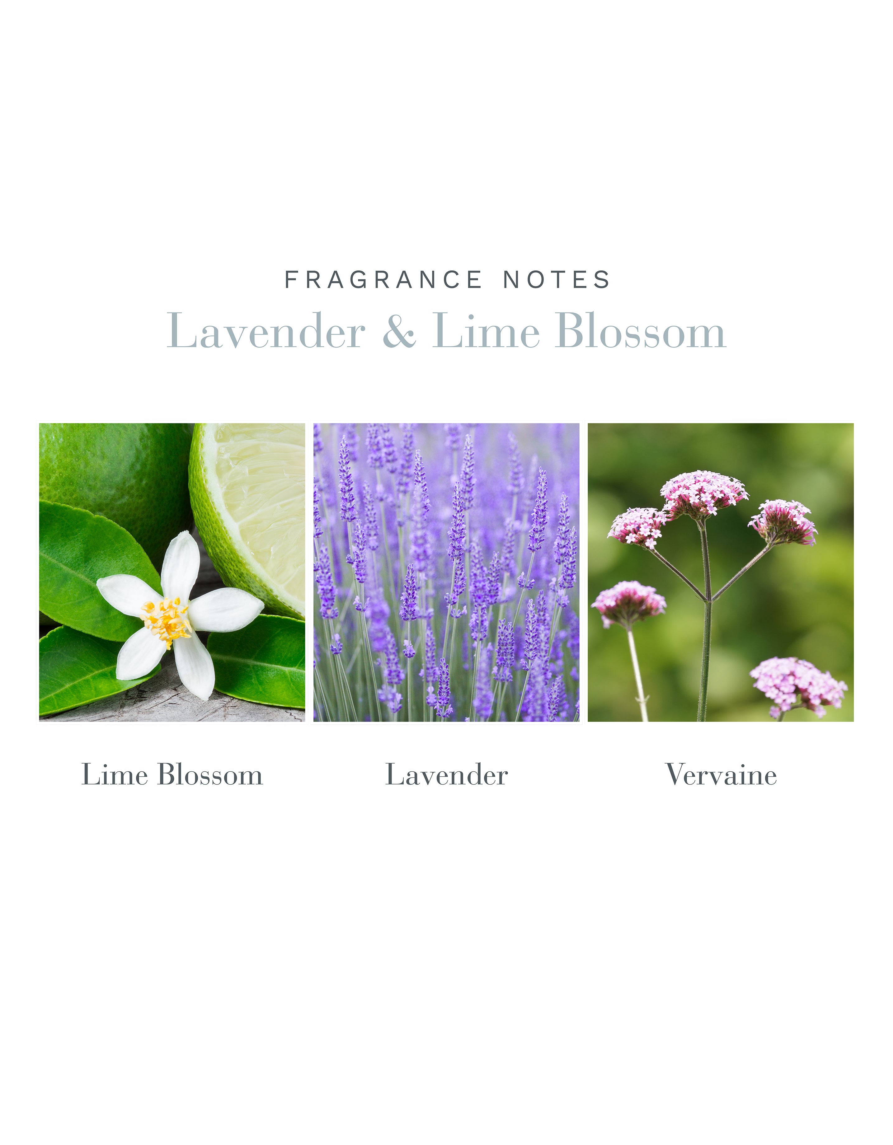 500ml Lavender & Lime Blossom Reed Diffuser