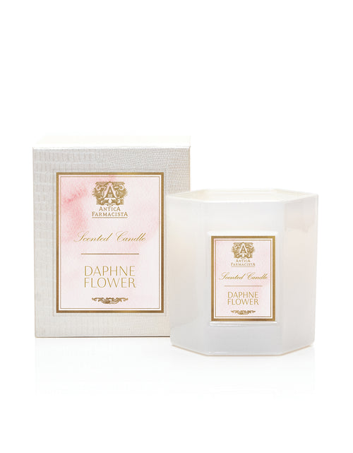 Daphne Flower Candle | Antica Farmacista