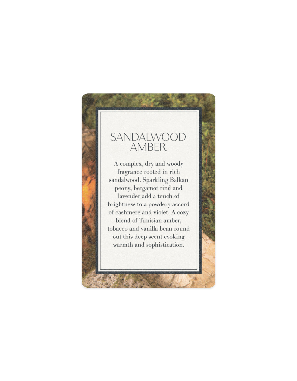 Scented Card - Sandalwood Amber