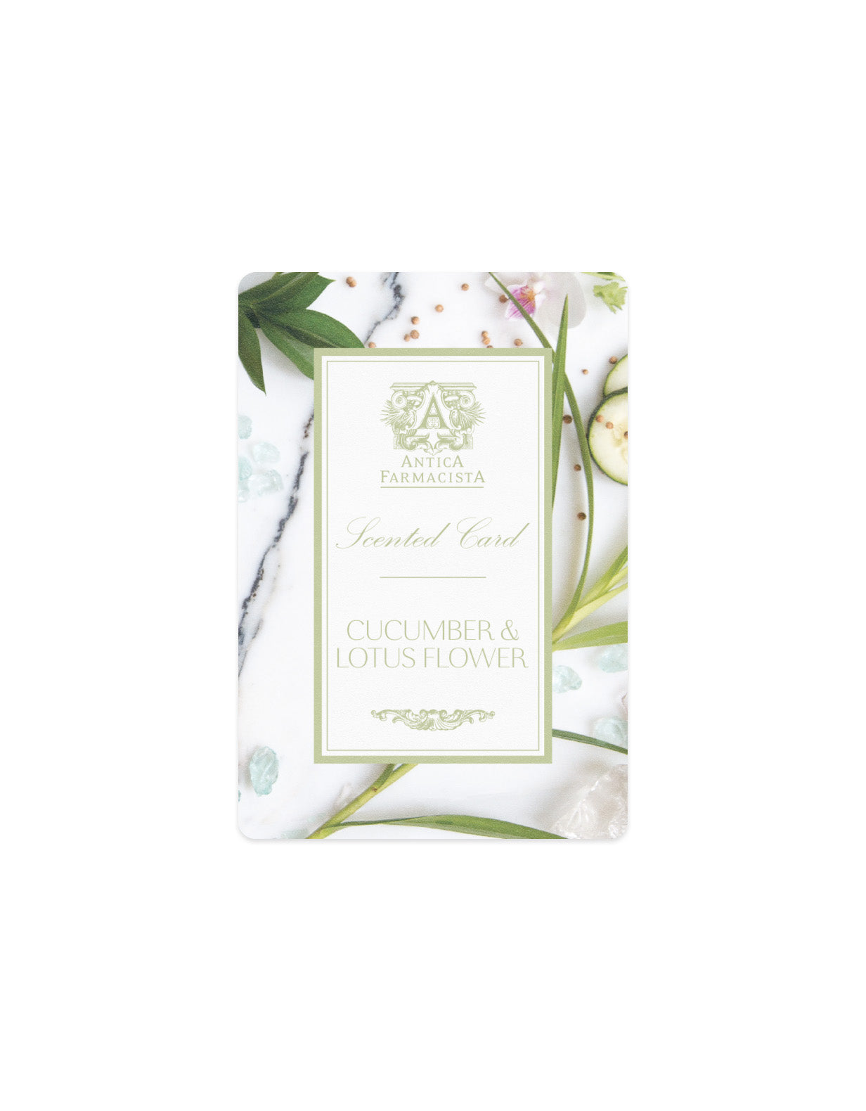 GWP - Scented Card - Cucumber & Lotus Flower