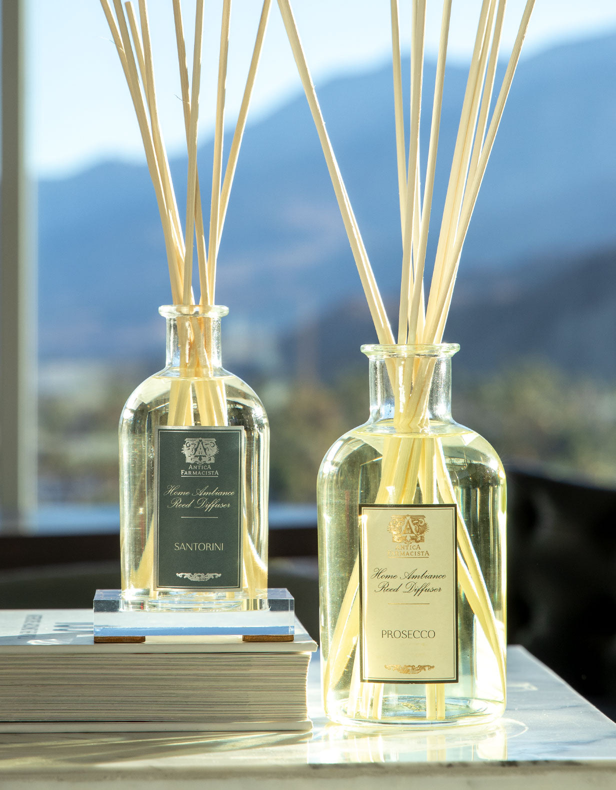 Life Scents™ Paradise Retreat Reed Diffuser
