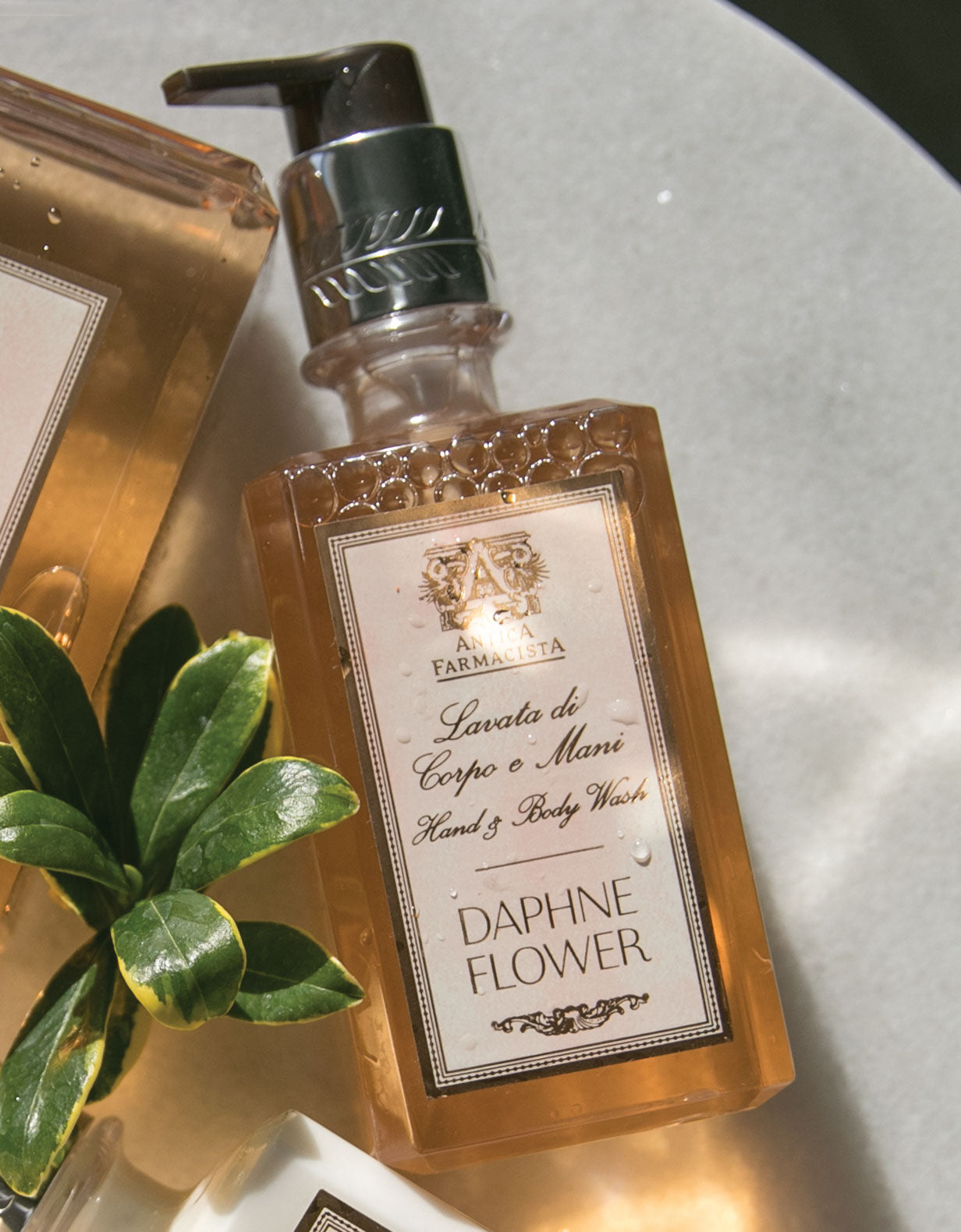 Daphne Flower Hand & Body Wash